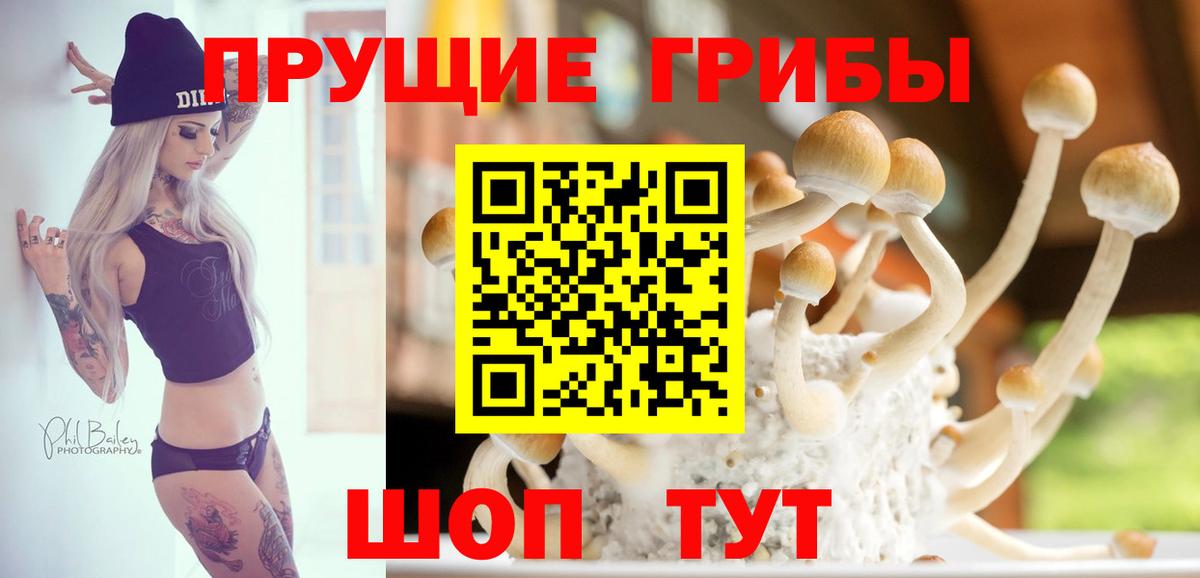 Псилоцибиновые грибы GOLDEN TEACHER  Псилоцибиновые грибы мицелий  Вход с VPN  Елабуга 
